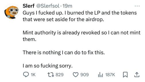 7 The Accidental Slerf Token Burn.jpg
